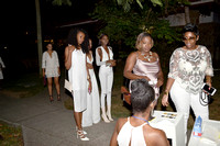 White & Gold party012