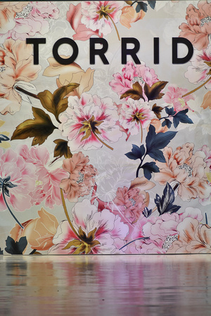 Torrid003